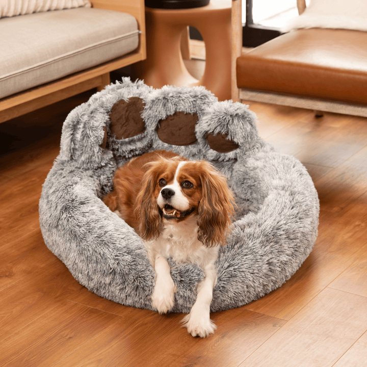 CozyPaw Dog Bed©