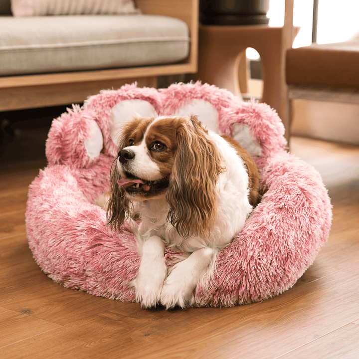 CozyPaw Dog Bed©